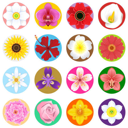 Flower Collection Setのイラスト素材