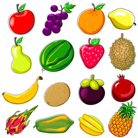 Various Fresh Tropical Fruits Doodle Style Illustrationのイラスト素材