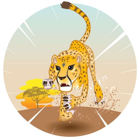 Cheetah King of Speed in Pursuit of Prey On Savannahのイラスト素材