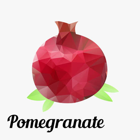 fresh fruit pomegranate colorful outline modern triangle textureのイラスト素材