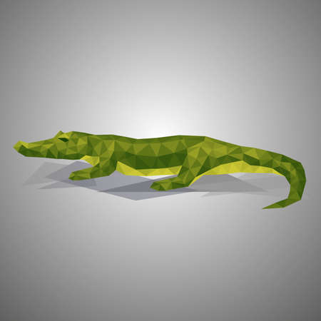 Low poly rocodile . Vector illustration in polygonal style. Beautiful animal on gray background.のイラスト素材