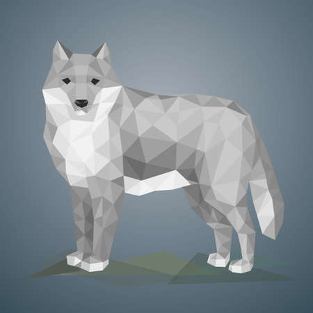 Low poly wolf. Vector illustration in polygonal style. Beautiful forest animal on gray background.のイラスト素材