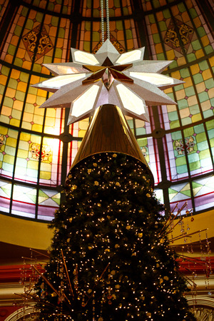 christmas treeの写真素材