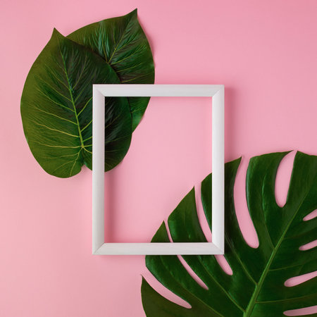 Top view of white wooden frame on pink background, decorated with monstera green leaves. Copy space.の写真素材