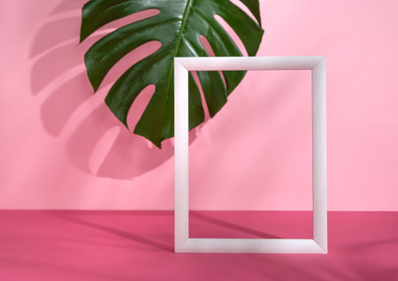 Minimalistic pink background with white wooden frame standing, monstera leaf in the background. Romantic or valentine theme with copy space for text.の写真素材