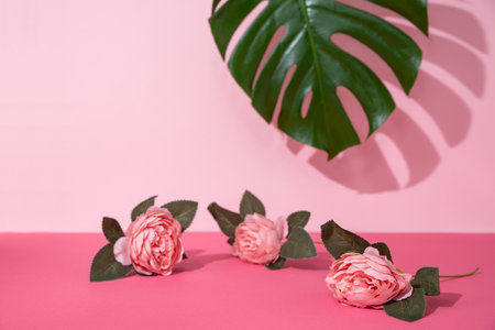 Creative spring layout with monstera green leaf and roses lying on a pink surface. Copy space for text. Romantic, feminine background.の写真素材