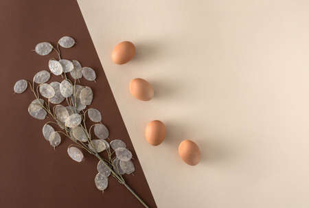 Artistic modern Easter layout with natural chicken eggs and decorative dry plant. minimal flat lay composition with copy space.の写真素材