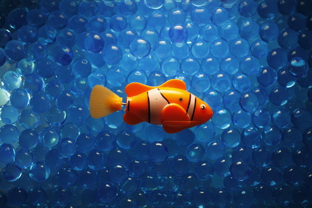 Fish at the chemical sea. Science, Ecology, molecular chemistry and genetic engineering.の写真素材