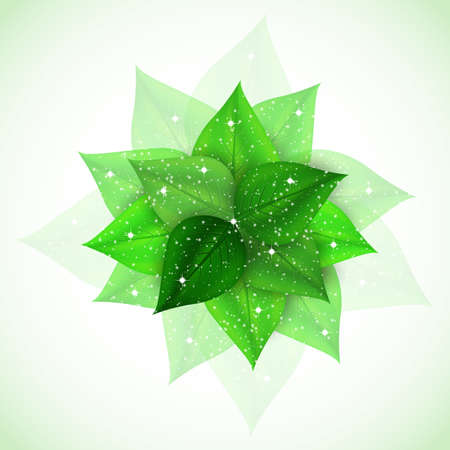 branch with fresh green leaves sparkles. Illustrationのイラスト素材