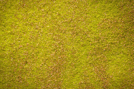 Green felt grass-liked background with small glittersの写真素材