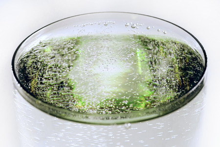 Glass with sparkling drink surface and green light reflection effect. Selective focus close-up on gray backgroundの写真素材