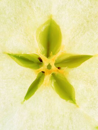 Apple core extremal close-up. Man-liked shape in centerの写真素材
