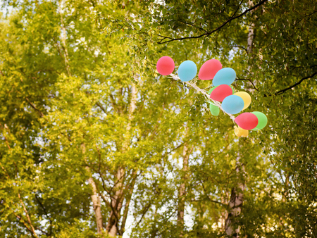 Floating colored balloons into green wood. Spring and summer party themeの写真素材