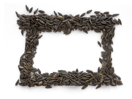 Black lettuce seeds frame. On white backgroundの写真素材