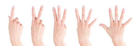 Woman hands set showing numbers from one to five. Isolated on white, clipping path includedの写真素材