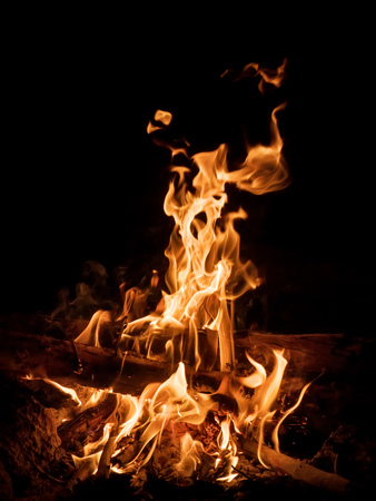 Campfire at night. Bright fire at the forest camp in the darkness