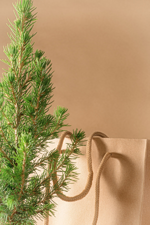 Small Christmas tree and craft paper gift bag on beige background with copy spaceの写真素材