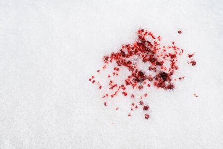 Red blood drops on white snow. Criminal, violence, disaster and accident conceptの写真素材