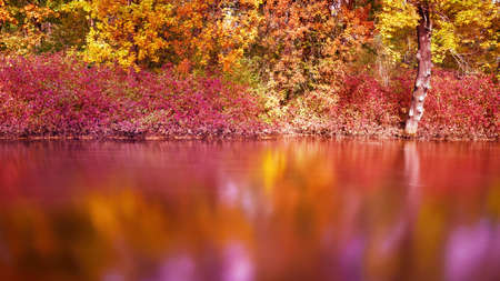 Bright colored autumn trees reflecting in calm water. Long exposureの写真素材