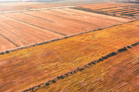 Landscape with golden agricultural fields at sunset. Aerial view