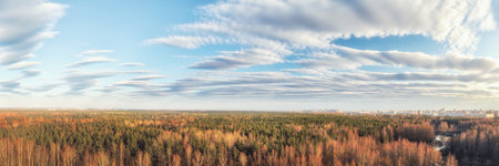 Large spring forest and distant city large panoramic view. Soft toned scenic with cloudy skyの写真素材