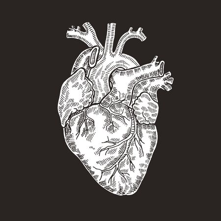 Vintage engraved human heart. illustration. Design for t-shirt printのイラスト素材