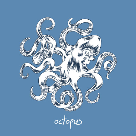 Octopus hand drawn illustration.のイラスト素材
