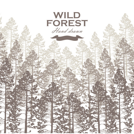 Wild pine forest background. Landscape nature. Pine tree illustration.のイラスト素材