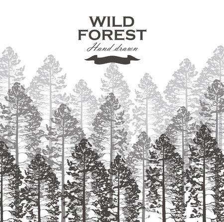 Wild pine forest background. Landscape nature. Pine tree illustration.のイラスト素材