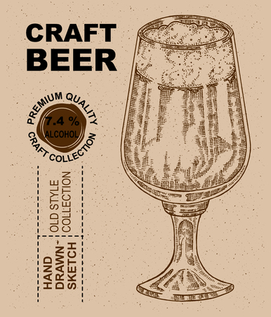 Hand drawn glass with beer. Alcohol drink sketch illustrationのイラスト素材