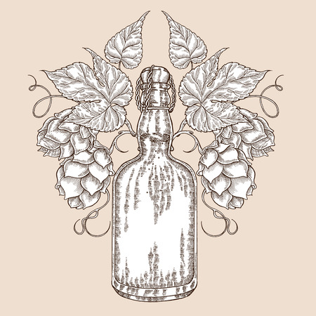 Hand drawn beer bottle with hops plant. Alcohol drink sketch vector illustrationのイラスト素材