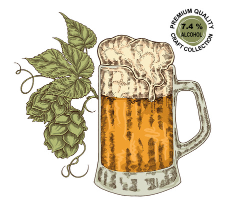 Hand drawn beer glass with hops plant. Alcohol drink sketch vector illustrationのイラスト素材