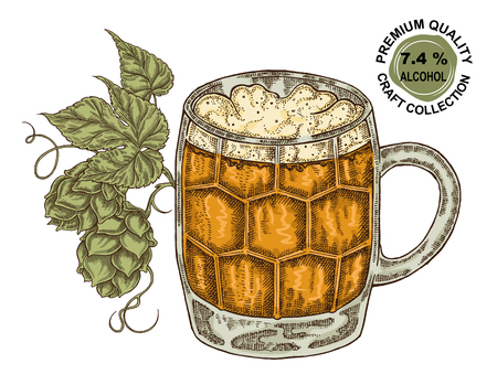 Hand drawn beer glass with hops plant. Alcohol drink sketch vector illustrationのイラスト素材