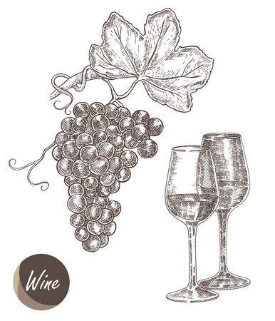 Bunch of grapes and wineglass. Vector illustration in sketch styleのイラスト素材