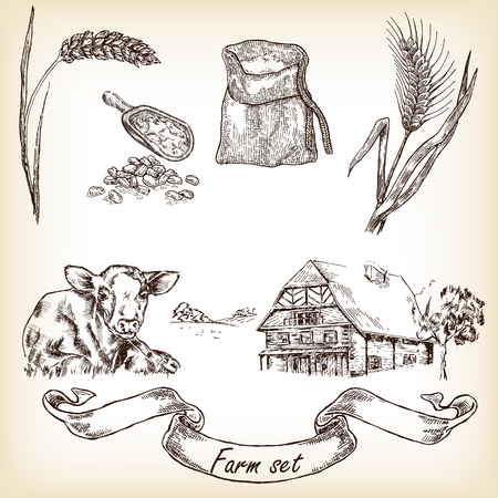 Farm set. Hand drawn illustration of cow, house, sack, grain, meal, wheatのイラスト素材