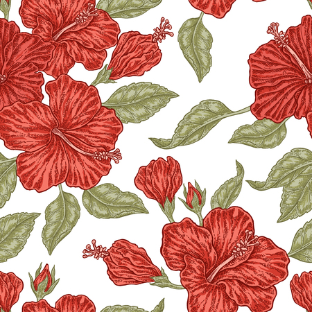 Vintage red hibiscus flowers. Vector seamless pattern. Illustration for fabrics, gift packagingのイラスト素材