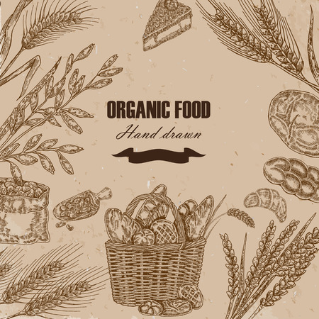 Bread design template. Hand drawn wheat set. Vector illustration in sketch styleのイラスト素材