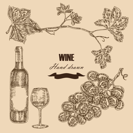 Wine set. Hand drawn bottle of wine, glass, bunch of grapes. Vector illustration in sketch styleのイラスト素材