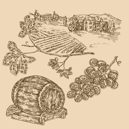 Wine set. Hand drawn vineyad, wine barrel and grape. Vector illustration in sketch styleのイラスト素材
