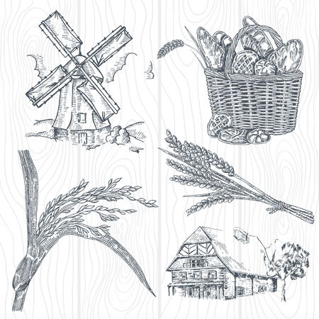 Hand drawn bakery set. Illustration windmill, wheat, farm house in vintage styleのイラスト素材