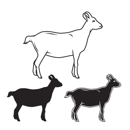 Hand drawn goat set. Vector illustrationのイラスト素材