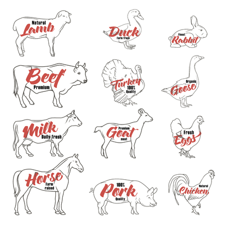 Farm animals icon set. Butchery logo and label collection. Vector illustrationのイラスト素材