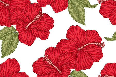 Red hibiscus flowers seamless pattern. Vector illustration for fabrics, gift packaging, textiles and card designのイラスト素材