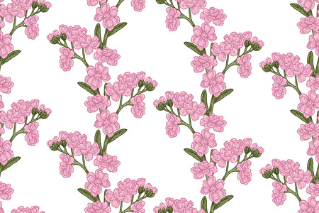 Seamless pattern with wild flowers on white background. Vector illustration for fabrics, gift packaging, textiles and card design.のイラスト素材