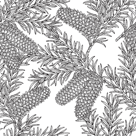 Seamless pattern with hand drawn fir cones and branches. Vector illustration engraved. Design for Christmas greeting cards and packaging.のイラスト素材