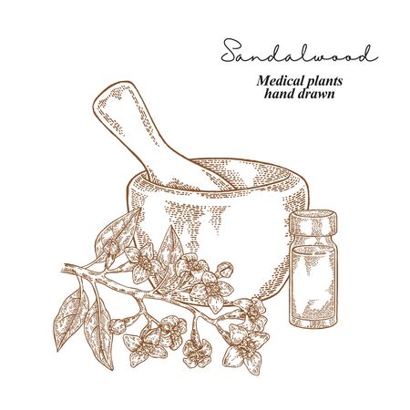 Sandalwood Royalty Free Stock Illustrations And Vectors Stocklib