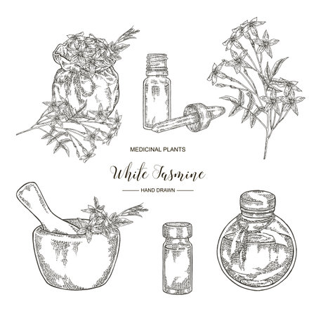 White jasmine set. Jasminum officinale flowers and leaves with textile bag, mortar and glass bottles. Medical plants hand drawn. Vector illustration engraved.のイラスト素材