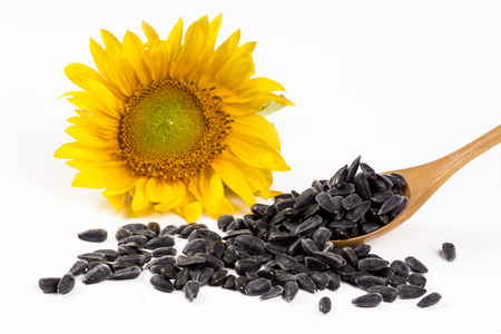 Sunflower and sunflower seeds on a table closeup photoの写真素材