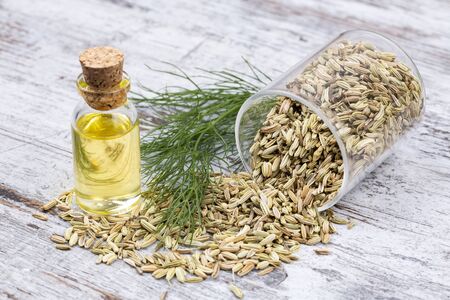 A bottle of fennel essential oil with fresh green fennel twigs and fennel seeds in the background の写真素材