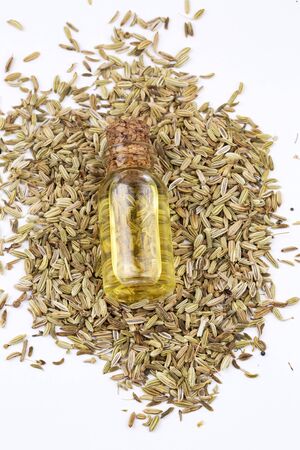 A bottle of fennel essential oil with fresh green fennel twigs and fennel seeds in the background の写真素材